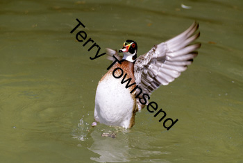 115