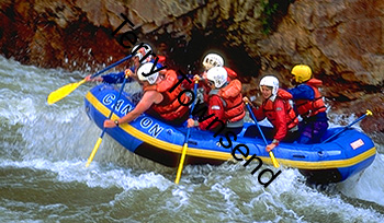 rapid2
