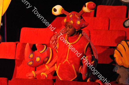 LittleMermaid_0173