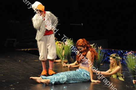 LittleMermaid_0440
