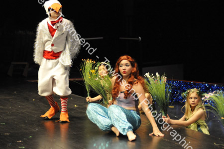LittleMermaid_0447