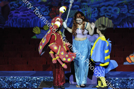LittleMermaid_0815