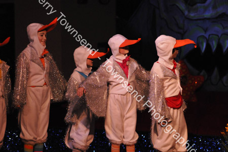 LittleMermaid_0845