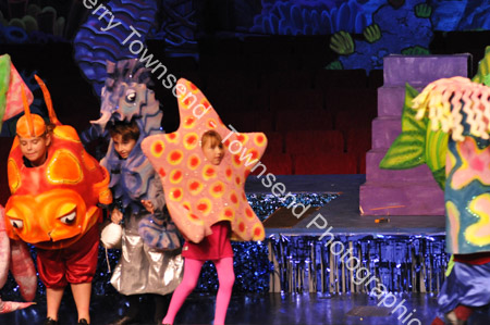 LittleMermaid_0874