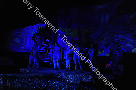 LittleMermaid_0954
