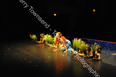 LittleMermaid_0959