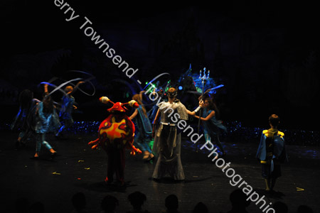 LittleMermaid_0993