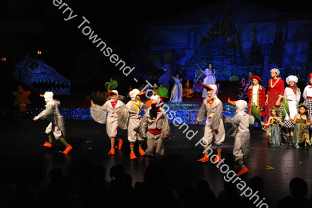 LittleMermaid_1033