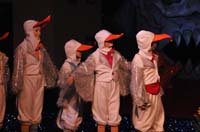 LittleMermaid_0845