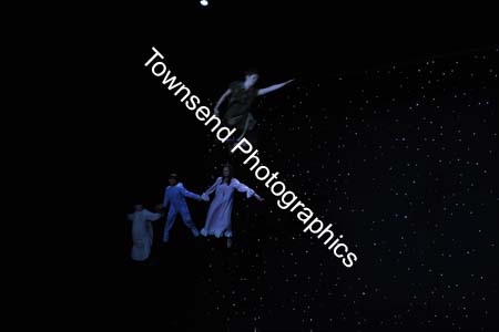 _TLT5613