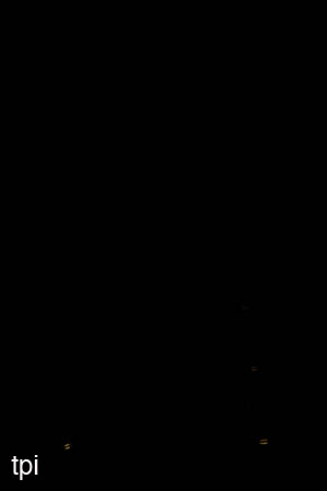 Img3392