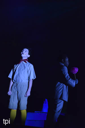 _RYD1454