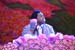 _RYD1581