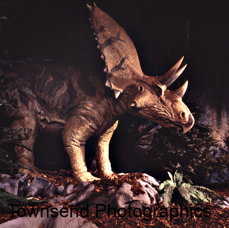 dino