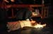 Sweeney0962